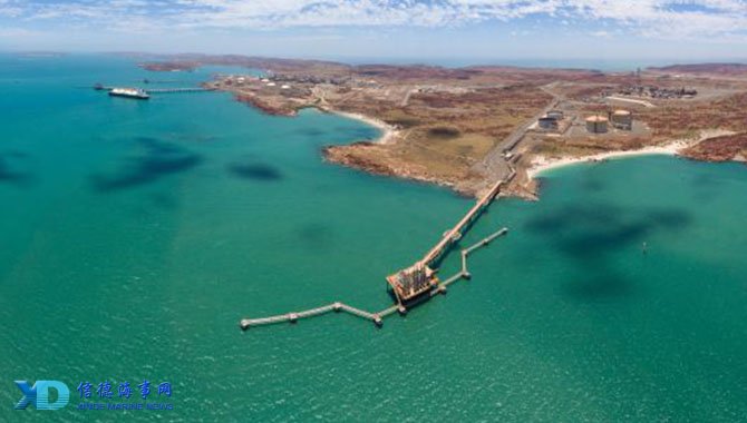 记者：莫兰特大概率留队，森林狼将控卫补强目标转向欧文